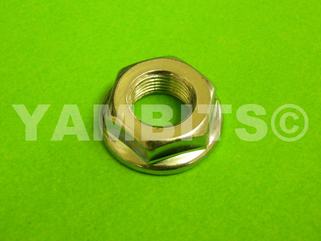 DT125LC MK3 Kickstart Lever Retaining Nut